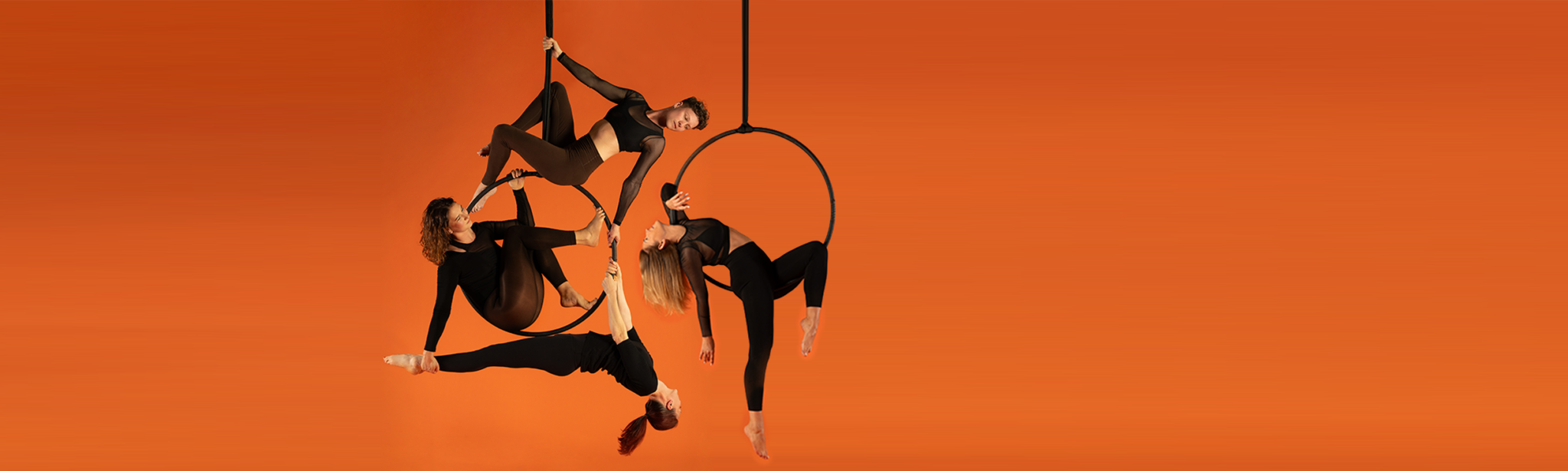 Aerial Hoop